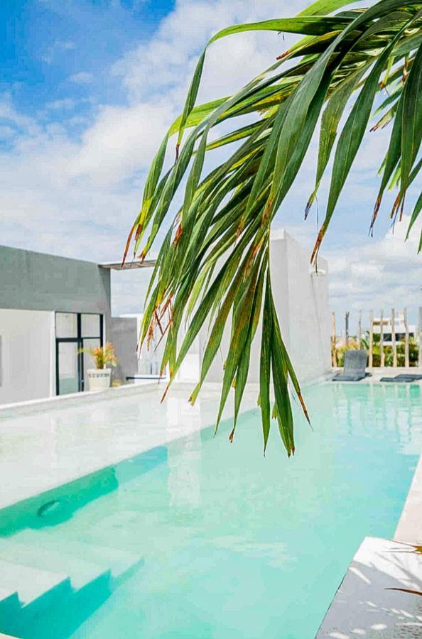 Apartahotel Dewl Residences: Zazil 20 *